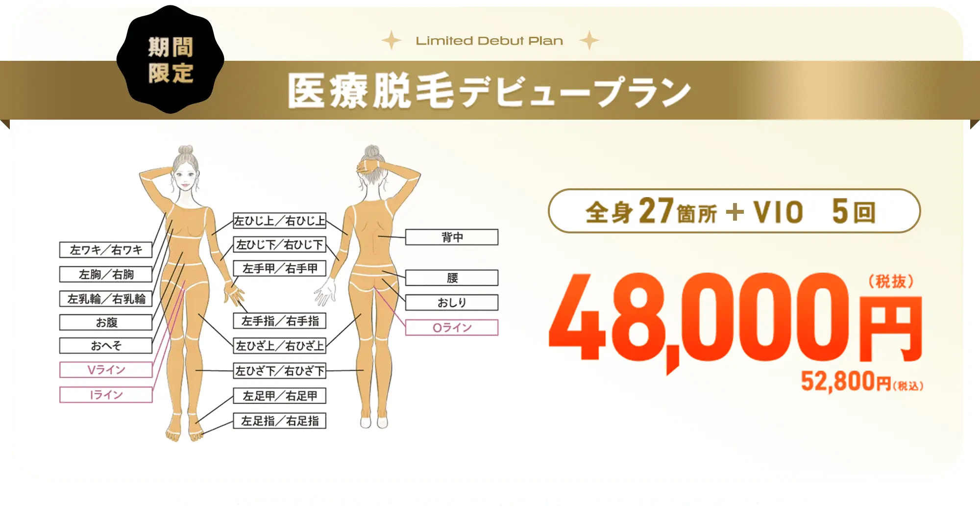 全身27箇所+VIO5回の医療脱毛プラン詳細