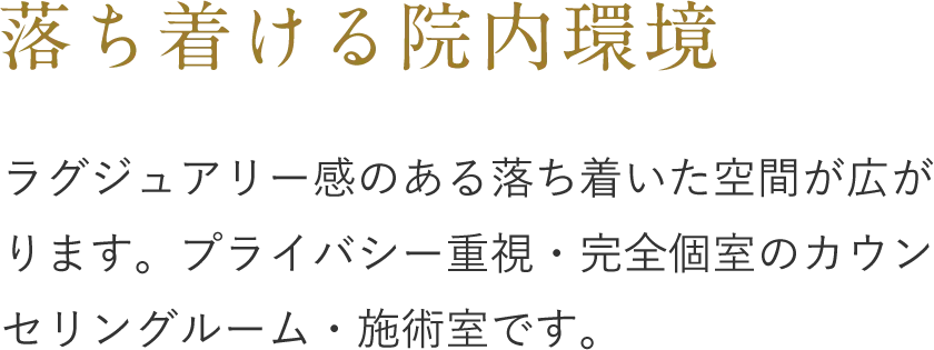 ラグジュアリー感のある落ち着いた空間が広がります。プライバシー重視・完全個室のカウンセリングルーム・施術室です。