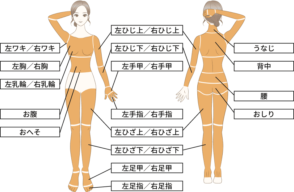 全身脱毛プラン