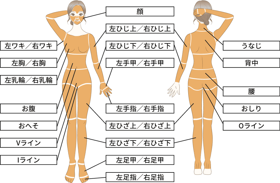 全身脱毛+VIO+顔