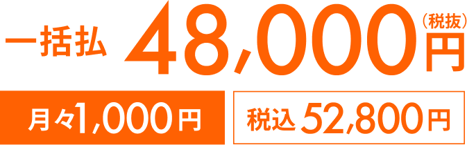 一括払 48,000円（税抜） 月々1,000円（税込） 税込 528,000円