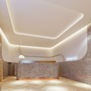 レジーナクリニック柏院