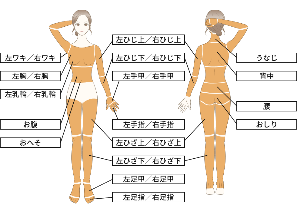 全身脱毛（VIO、顔を除く）